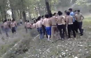 学生打群架视频,群架视频引发社会关注