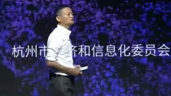 企业家的演讲视频,企业家演讲中的智慧与启示