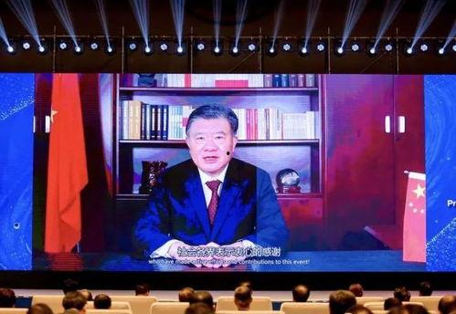 讲话视频,深度解析领导者的战略思维与未来展望