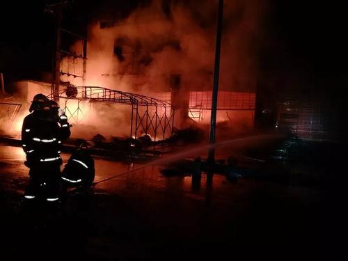 消防救火动画视频,动画视频揭秘消防员英勇救火瞬间