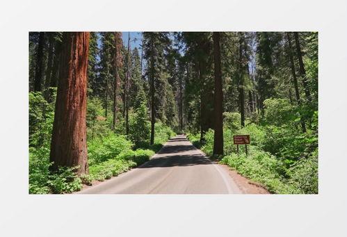 小路视频,探寻生活点滴，记录美好瞬间