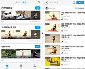 郑多燕减肥操练视频中文版全集,高效塑形秘籍大公开