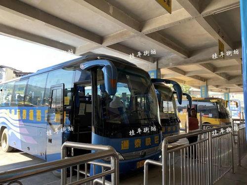 汽车站小视频,揭秘出行新体验